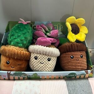 New succulents plants dog toys